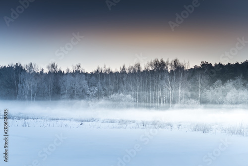 Winter's Tale. a calm field with a white snow. A fog near the forest.