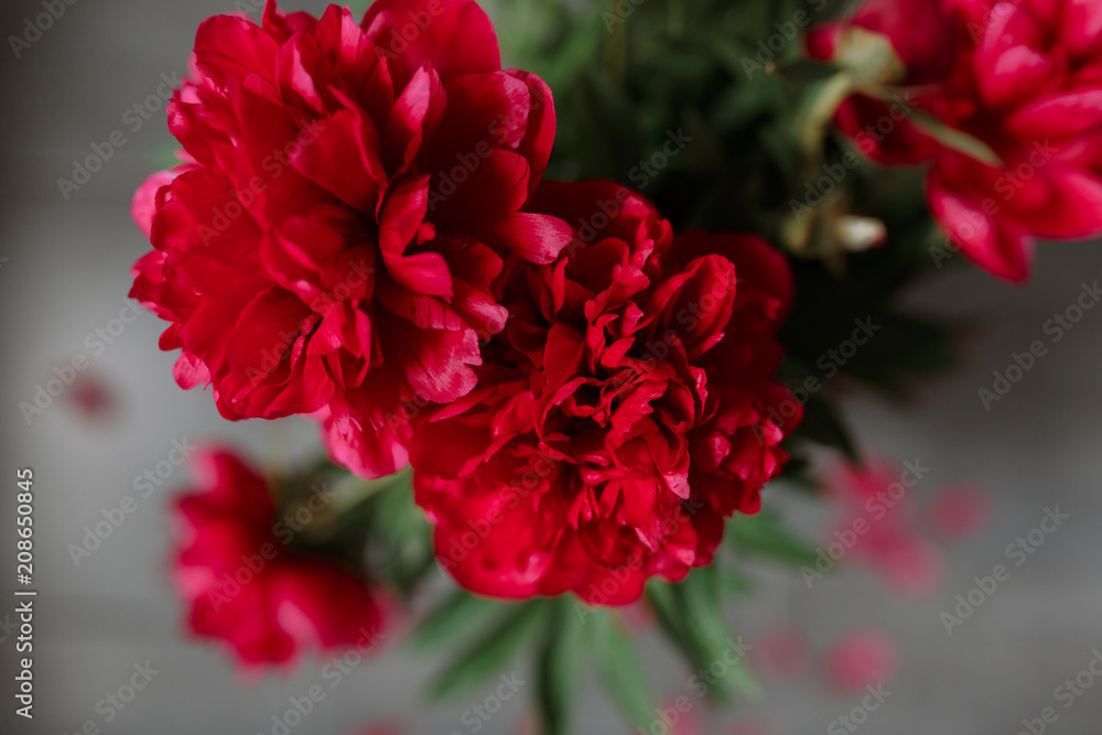 Red peonies in glass vase on concrete floor and bokeh background. Top close-up view Red peonies in glass vase on concrete floor and bokeh background. Top close-up view
