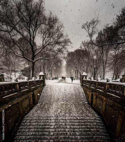 Winter in Central Park © Paul