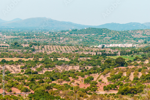 Wallpaper Mural Mallorca, Countryside (near Cala Millor) Torontodigital.ca