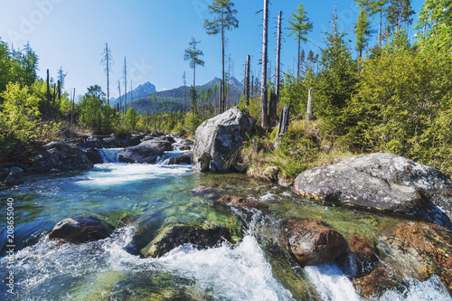 Wild river in Slovakia, Tatras high mountains