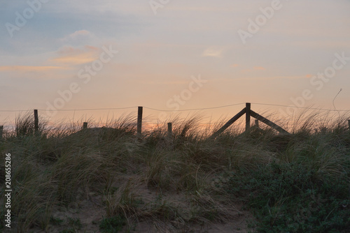 North Sea coast at the sunset in summer. The Netherlands, Europe