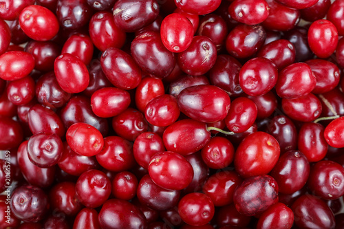cornelian berries as a background