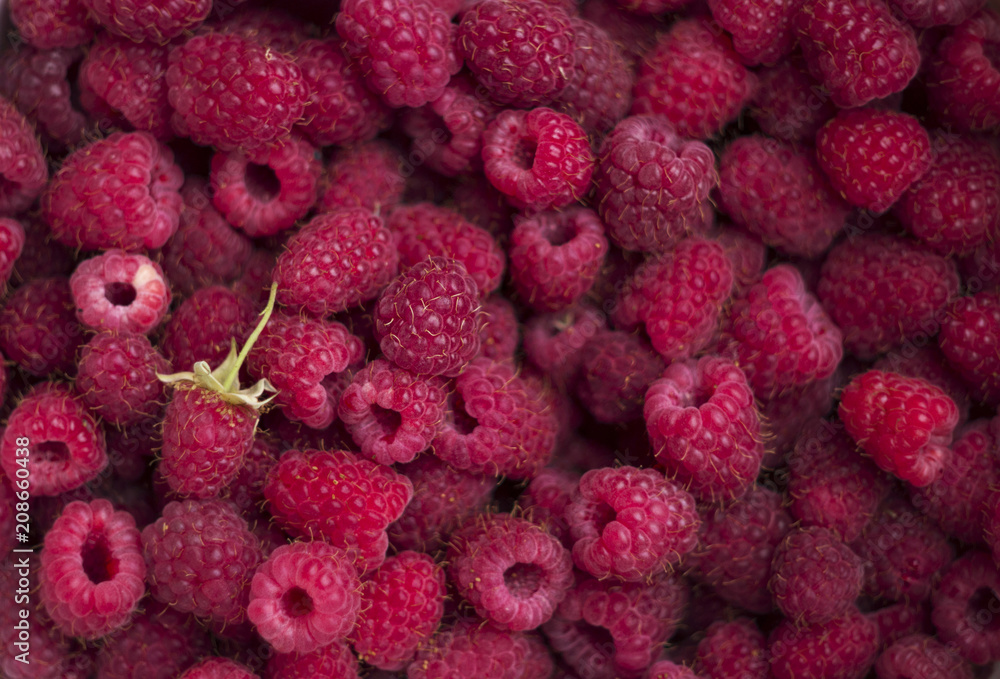 Raspberry, square background. Ripe berries, lots of fruits, bright raspberries, harvesting Raspberry, square background. Ripe berries, lots of fruits, bright raspberries, harvesting