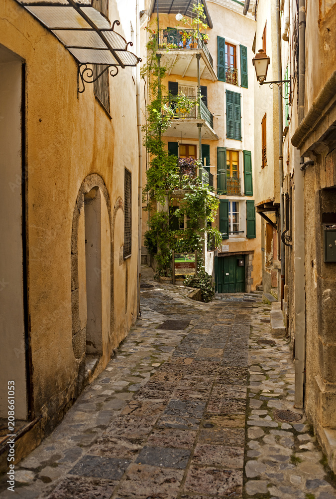 A picturesque medieval village Entrevaux in France 