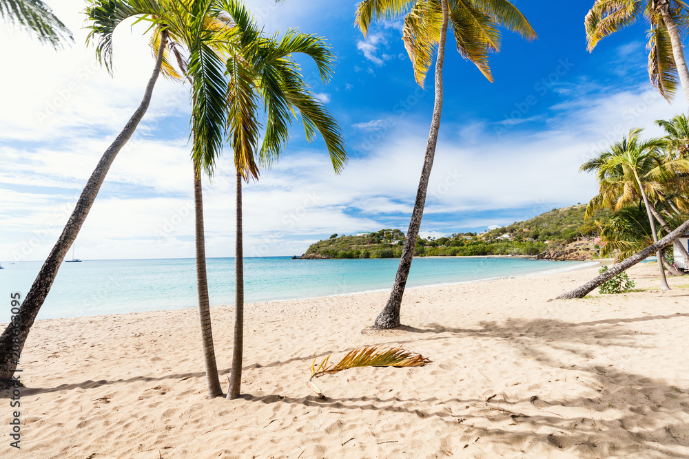 Obraz premium Idyllic beach at Caribbean