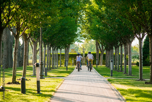 Students cycling in park, back view. Group of young people resting outdoors. People, leisure and lifestyle concept.