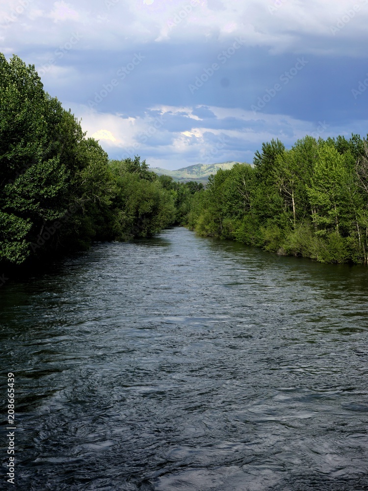 Fototapeta premium Woodland River Flowing Under a Heavy Gray Sky