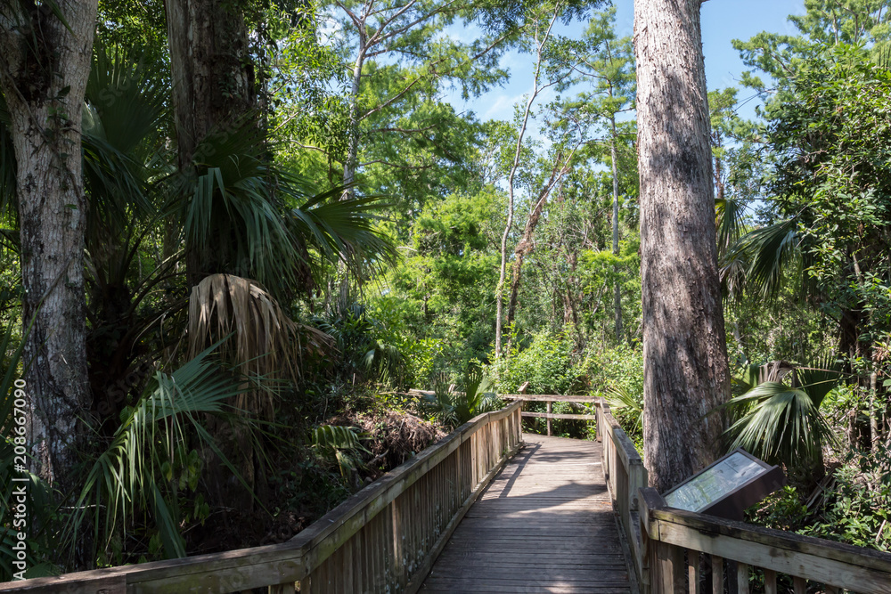 Big Cypress Bend Big Cypress Bend