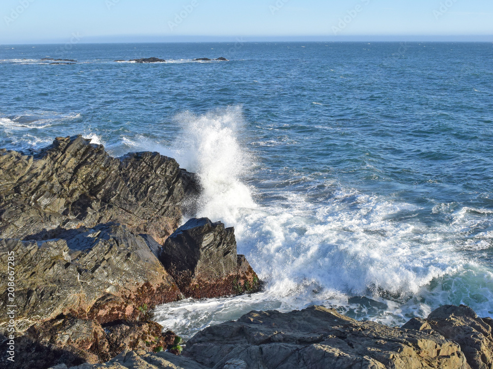 Waves crashing on the N. California coast