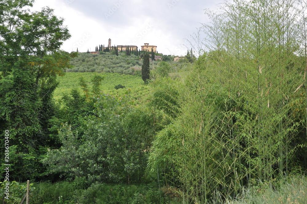 Toskana-Landschaft bei San Gimignano (Itlaien)