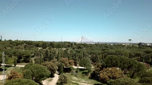 aéreo drone  volando sobre un bosque y al fondo puente  de la autopista  a6  y vehículos circulandoo por la autopista  las rozas de madrid, y al fondo rascacielos de la ciudad de madrid photo