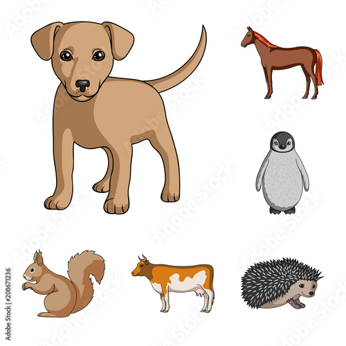 Realistic animals cartoon icons in set collection for design. Wild and domestic animals vector symbol stock web illustration.