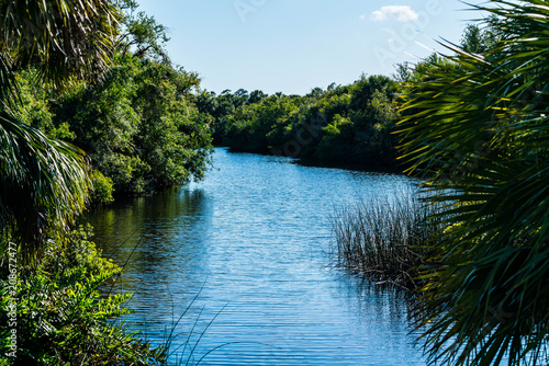 The Myakka river on a warm spring afternoon in southwest Florida.