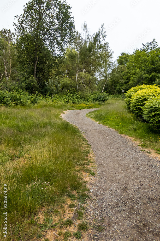 Obraz premium a gravel path in the middle of the park on a cloudy day