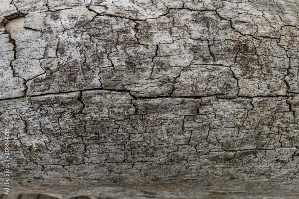 wood surface texture with many small cracks wood surface texture with many small cracks