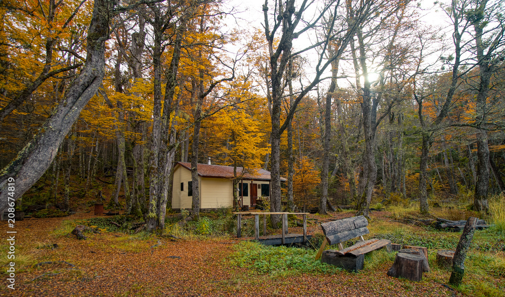 House in the middle of the forest House in the middle of the forest