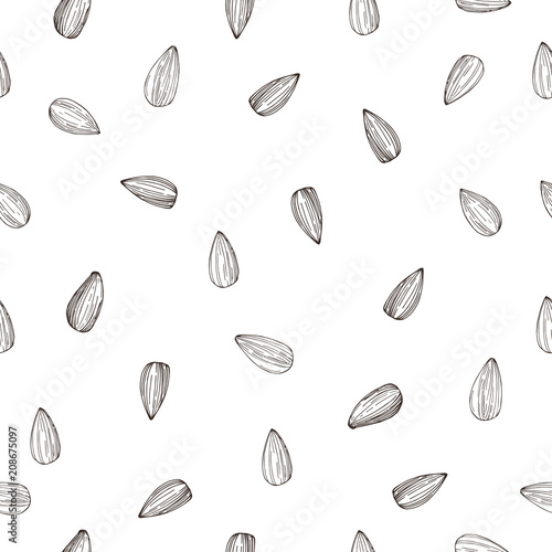 Hand drawn sunflower  seeds.Vector seamless pattern