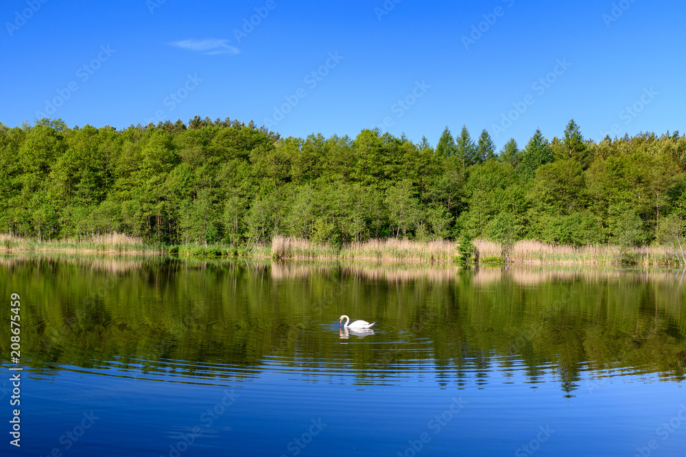 Fototapeta premium Polish landscape