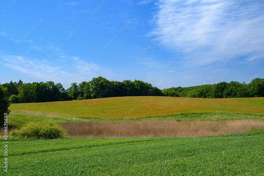 Polish landscape