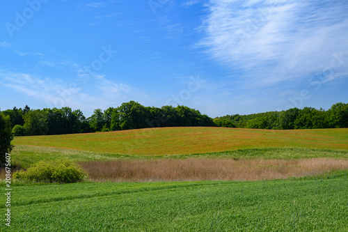 Obraz na płótnie Polish landscape w salonie