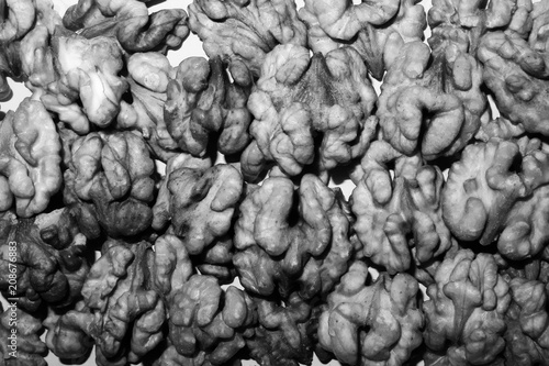 Texture background black and white grain of the walnut.