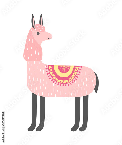 Cute llama isolated on white background. Alpaca. Vector illustration.