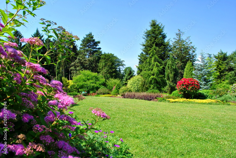 Obraz premium Kwitnący ogród