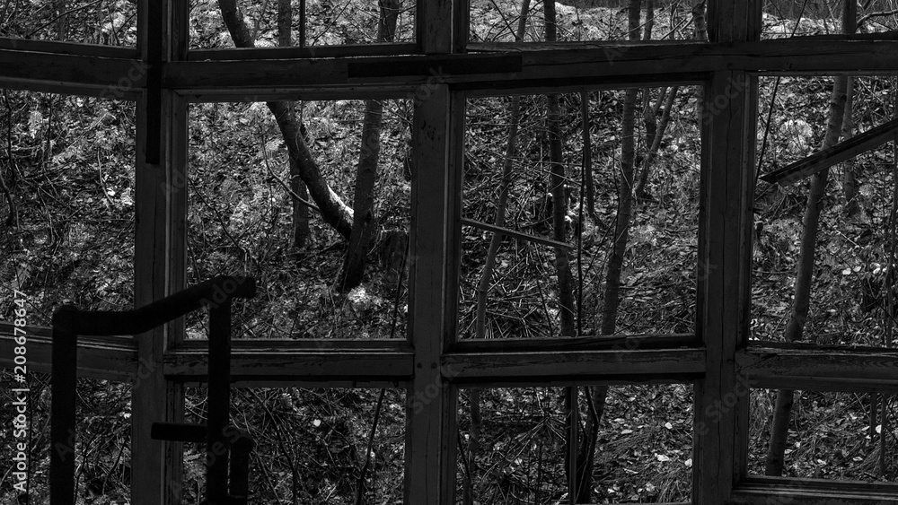 scary wood scary wood