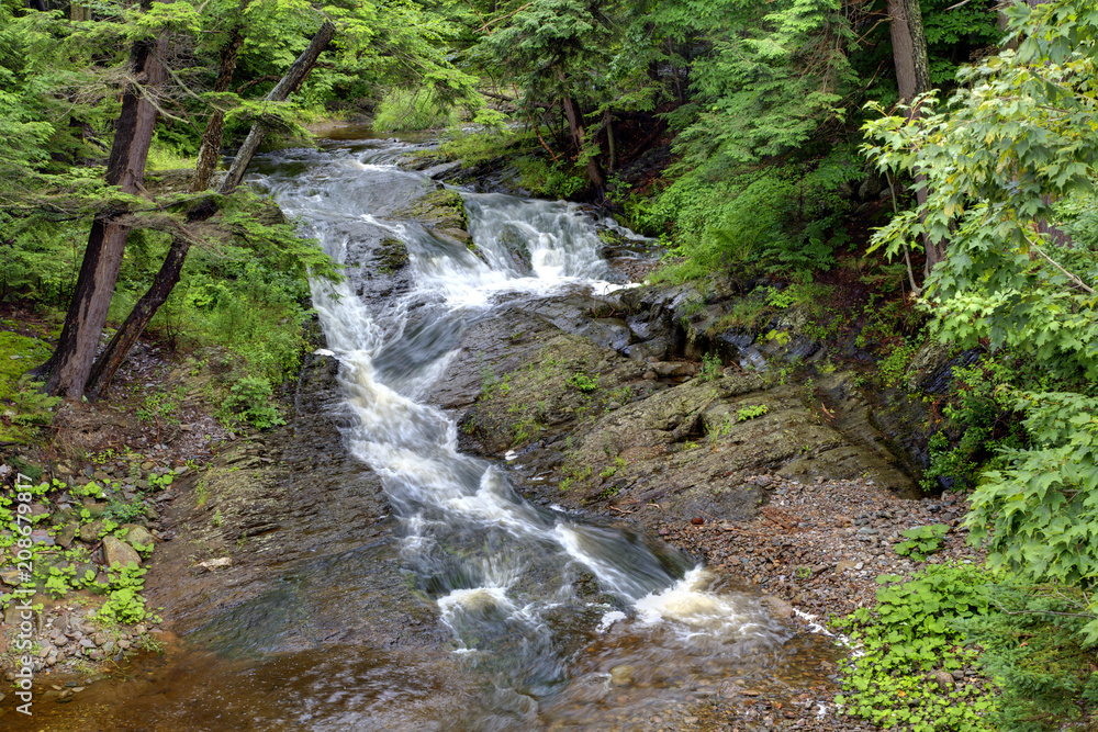 Tadpole Creek Rushing Stream Tadpole Creek Rushing Stream