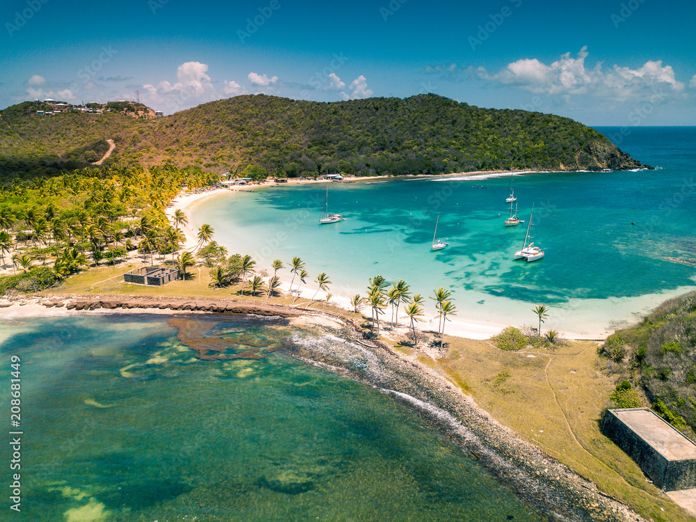 Aerial view of Mayreau beach in St-Vincent and the Grenadines - Tobago Cays. The paradise beach with palm trees and white sand beach