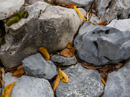 Autumn Leaves on Rocks