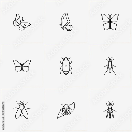 Insects line icon set with bug, flying ant and butterfly