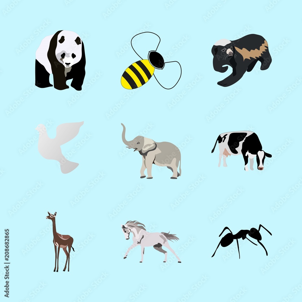 Obraz premium animals icons set