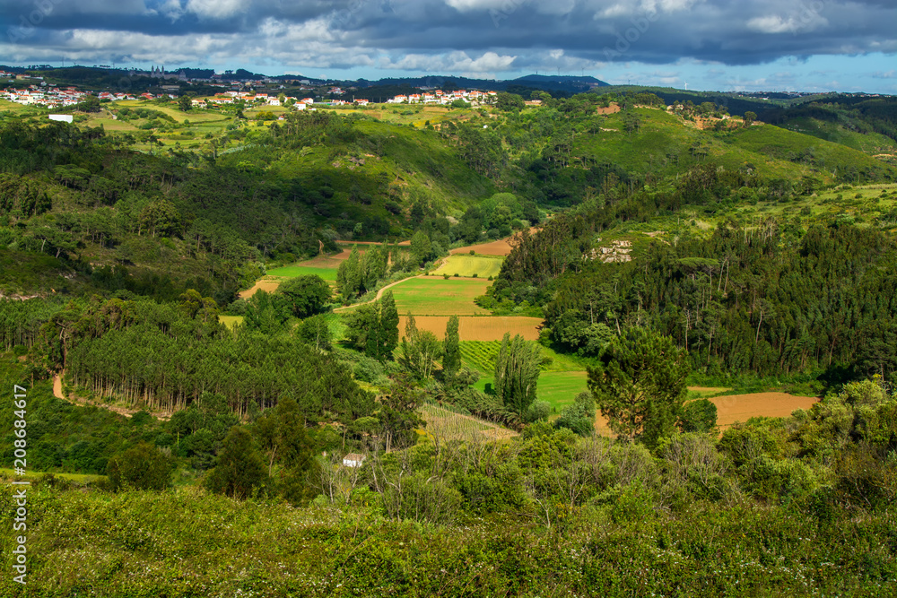 Agriculture fields in Ericeira