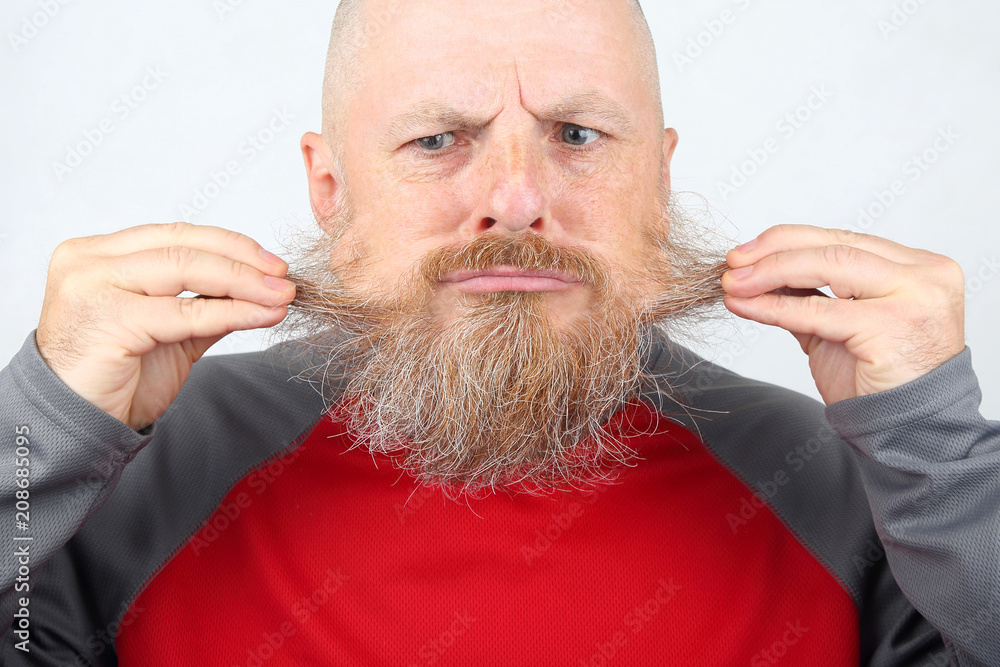 Bald bearded man touching his beard Bald bearded man touching his beard
