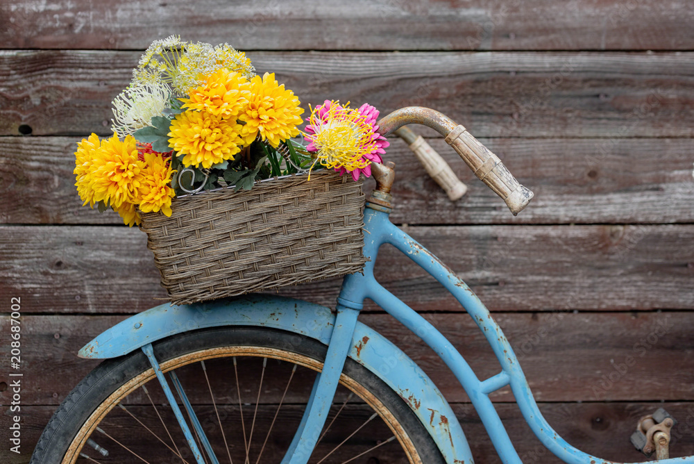 Rusty vintage blue bike with basket of flowers foto de Stock | Adobe Stock