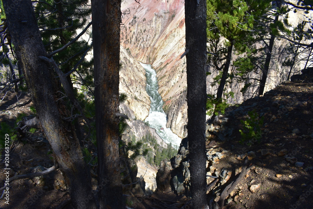 Grand Canyon of the Yellowstone River - Yellowstone National Park Grand Canyon of the Yellowstone River - Yellowstone National Park