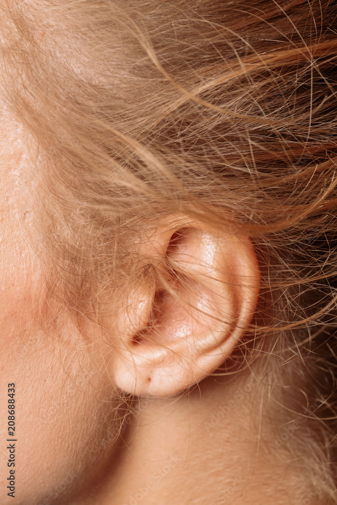 Detail of the head with female human ear and blond hair close up. Detail of the head with female human ear and blond hair close up.