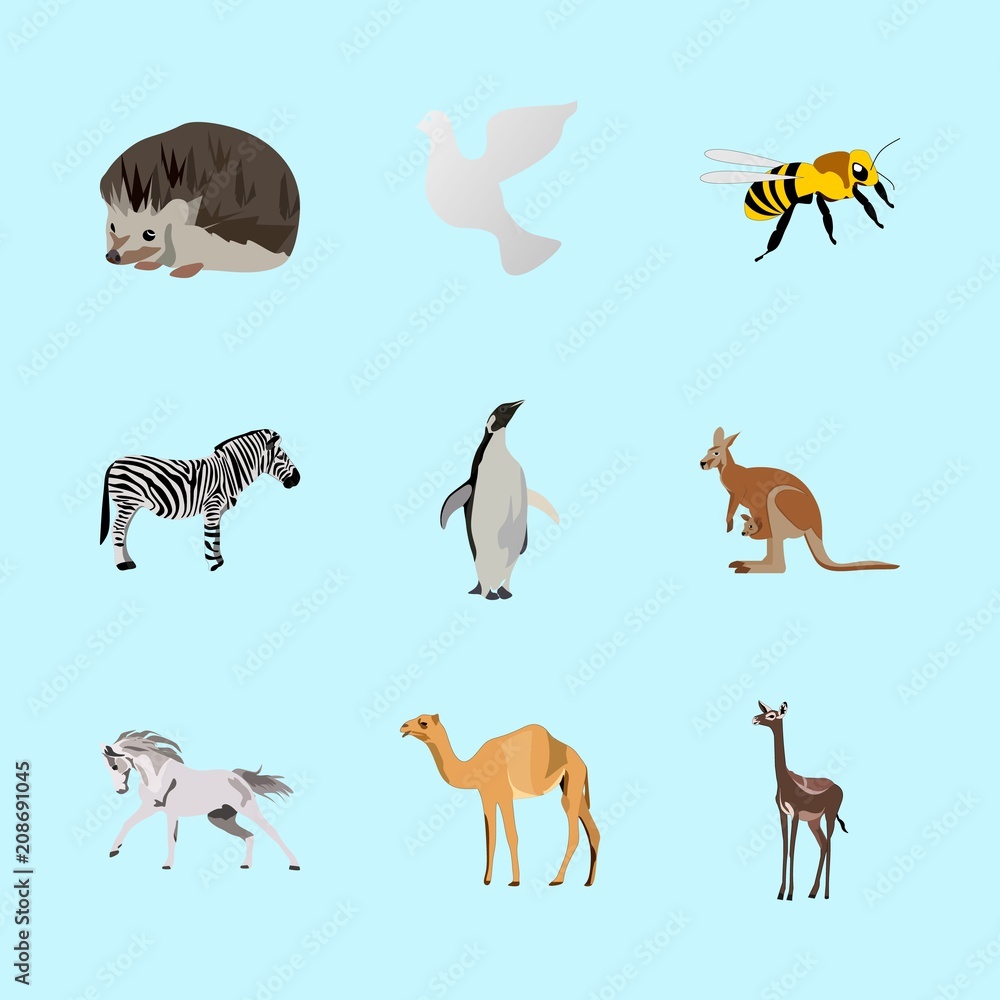 Obraz premium animals icons set
