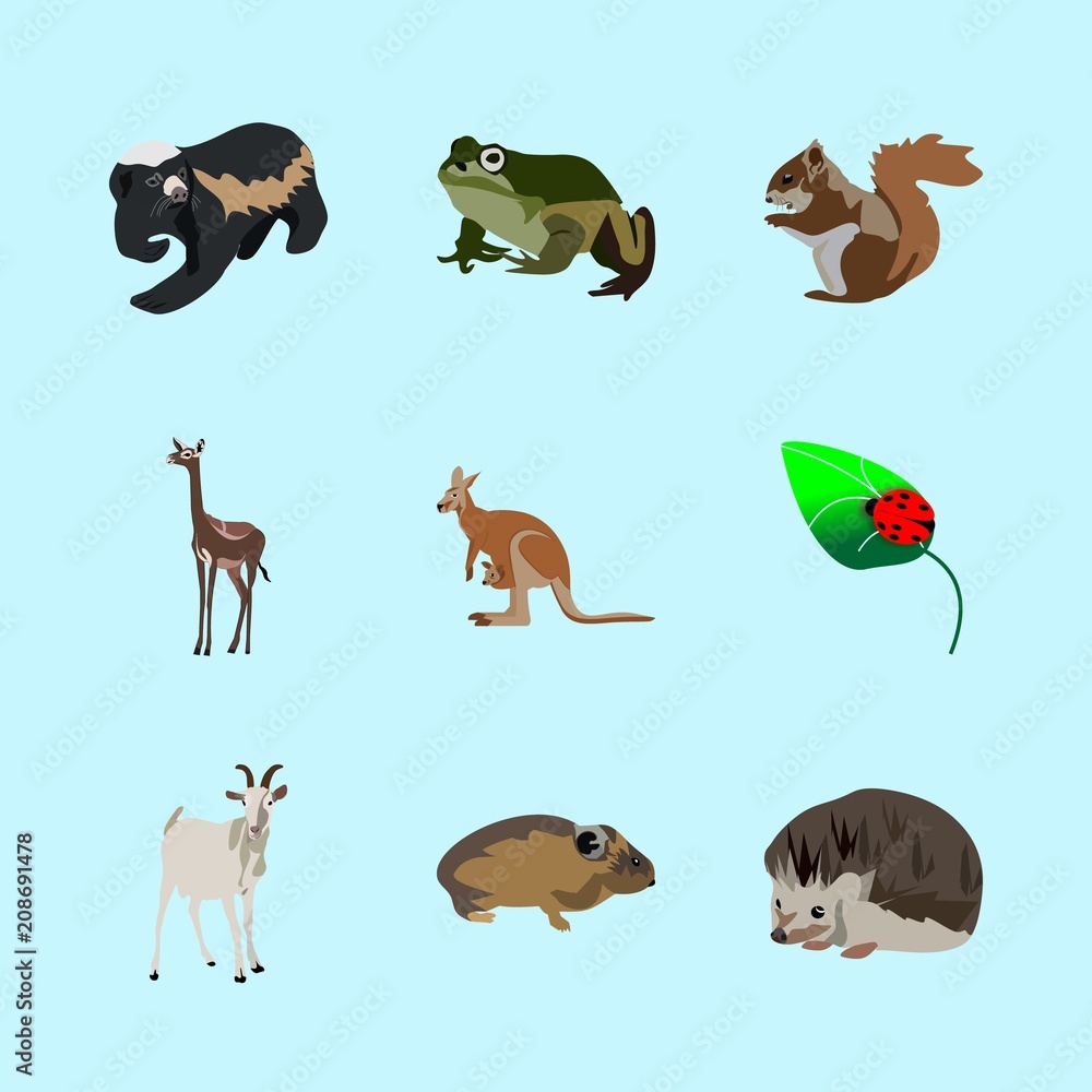 animals icons set animals icons set