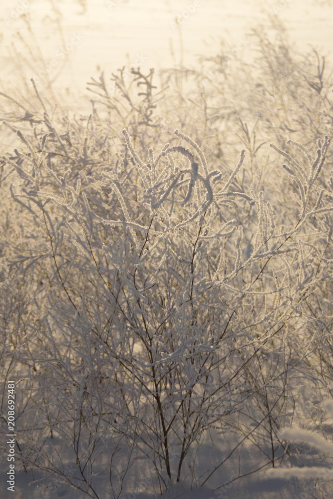 winter winter