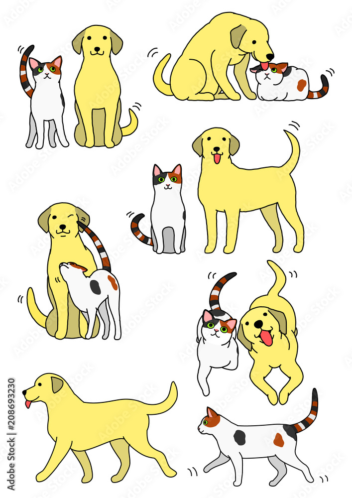 Fototapeta premium set of cat and dog pairs