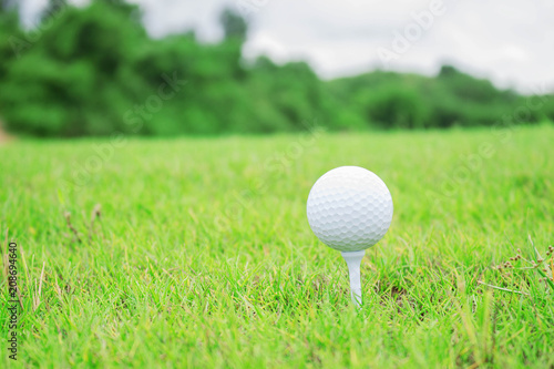 Golf ball with green of nature.