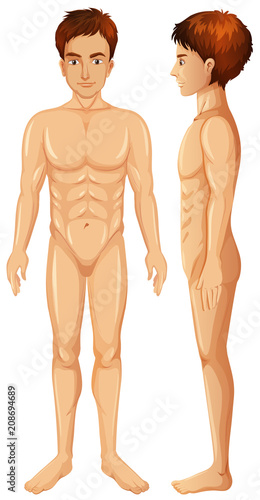 Male Body on White Background