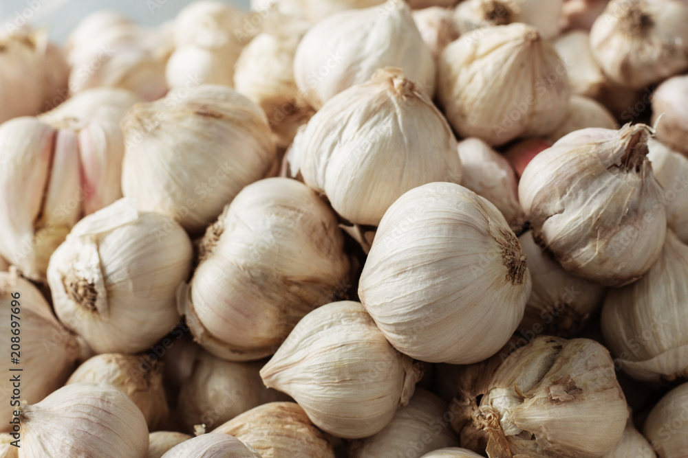 Garlic with texture. Garlic with texture.