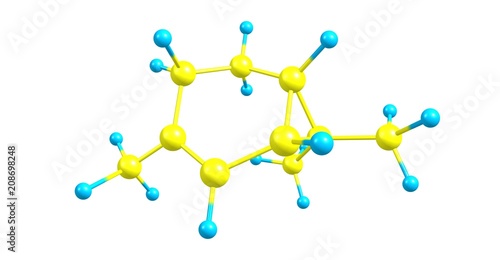Carene molecular structure isolated on white photo