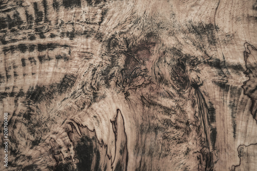the texture of curly wood. brown background and black veins