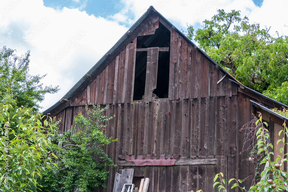 An old barn with a peaked rood stands with trees on its side and back. Missing planks of wood are missing in the upper front. A blue sky and clouds are in the background. An old barn with a peaked rood stands with trees on its side and back. Missing planks of wood are missing in the upper front. A blue sky and clouds are in the background.