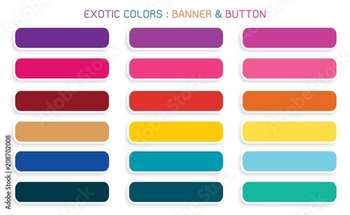 Vector Set of Banner and Botton for Web Templates